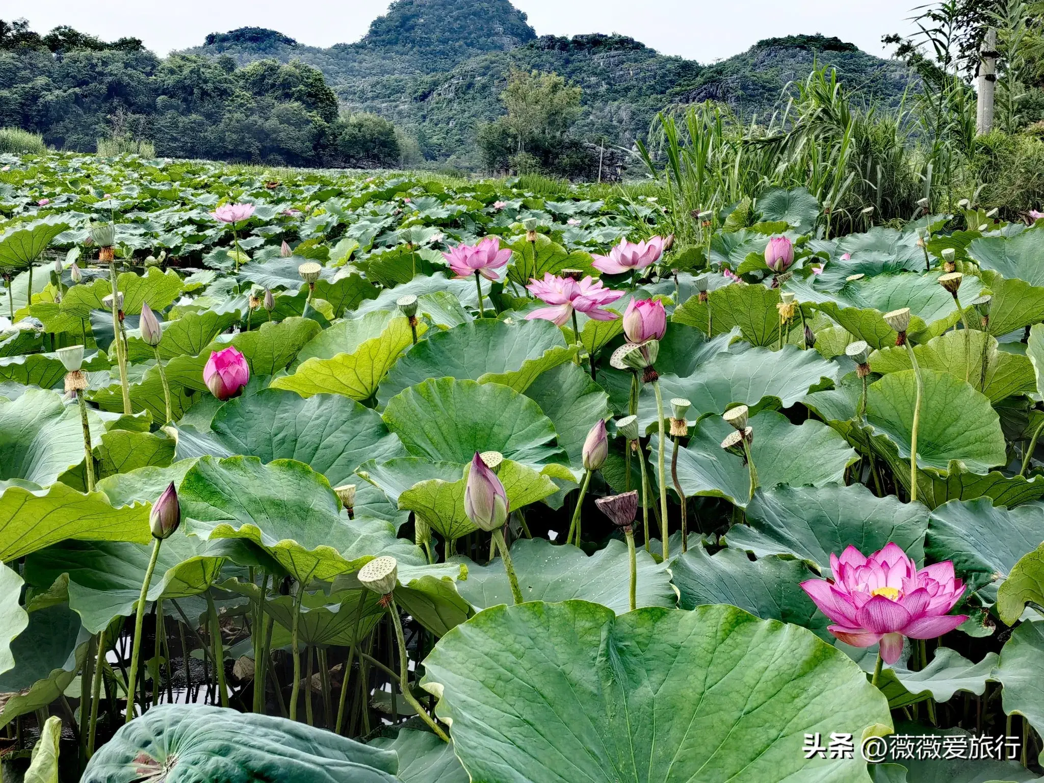 云贵自驾游线路推荐_云贵旅游时间_云贵旅游攻略
