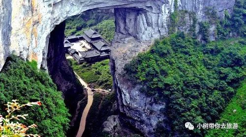 重庆天坑地缝旅游攻略_重庆天坑地缝景点视频_重庆天坑景区介绍