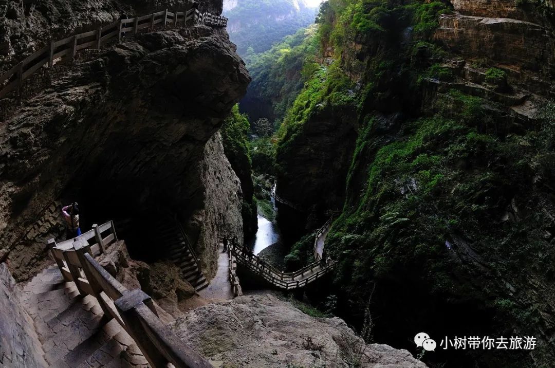 重庆天坑地缝旅游攻略_重庆天坑景区介绍_重庆天坑地缝景点视频