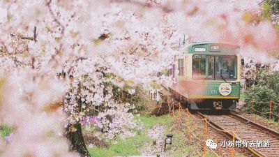 重庆天坑地缝景点视频_重庆天坑地缝旅游攻略_重庆天坑景区介绍