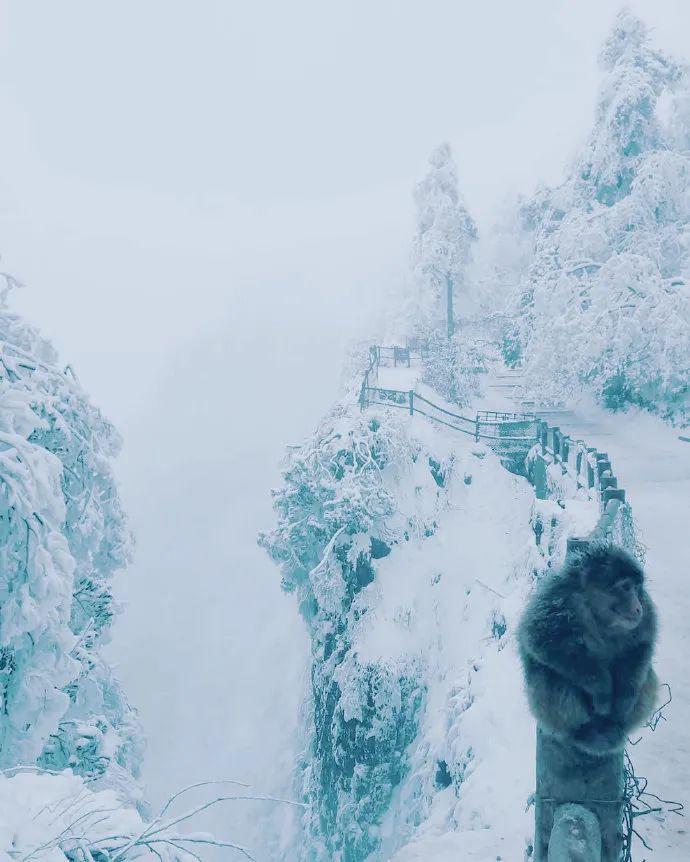 成都到峨眉山乐山旅游攻略_成都到峨眉山乐山旅游攻略_成都到峨眉山乐山旅游攻略