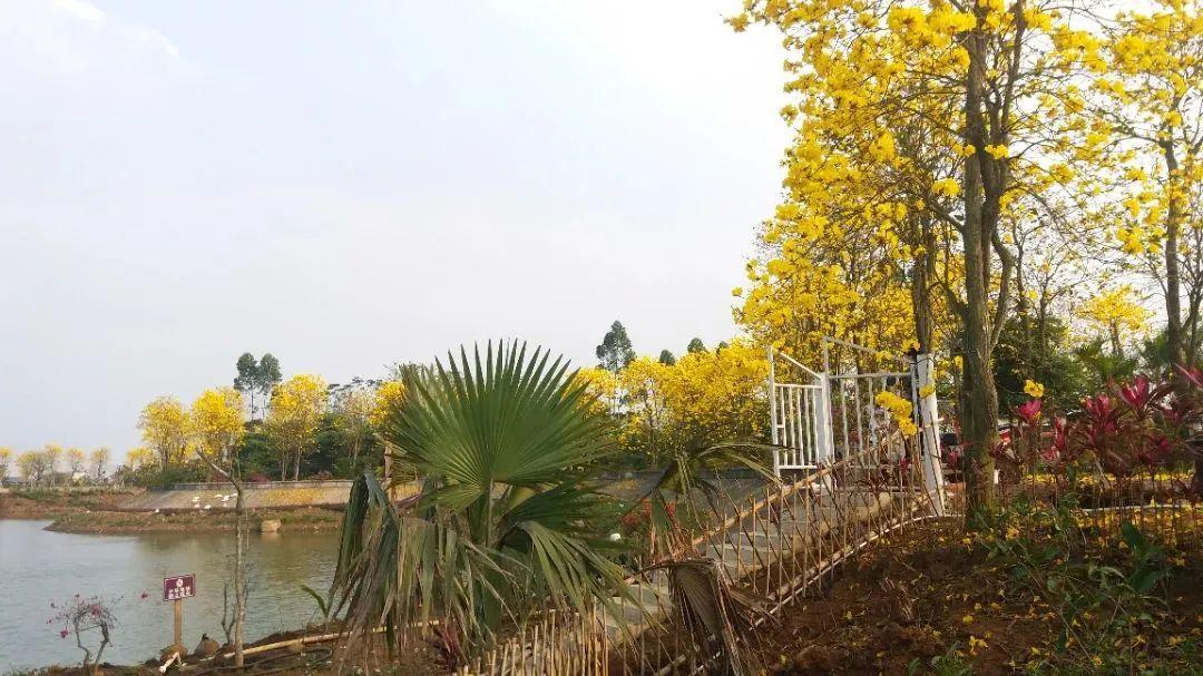湛江攻略旅游市内景点推荐_湛江市区旅游攻略_湛江市内旅游攻略