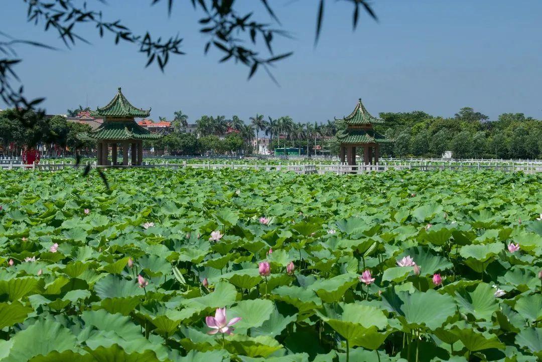 湛江攻略旅游市内景点推荐_湛江市内旅游攻略_湛江市区旅游攻略