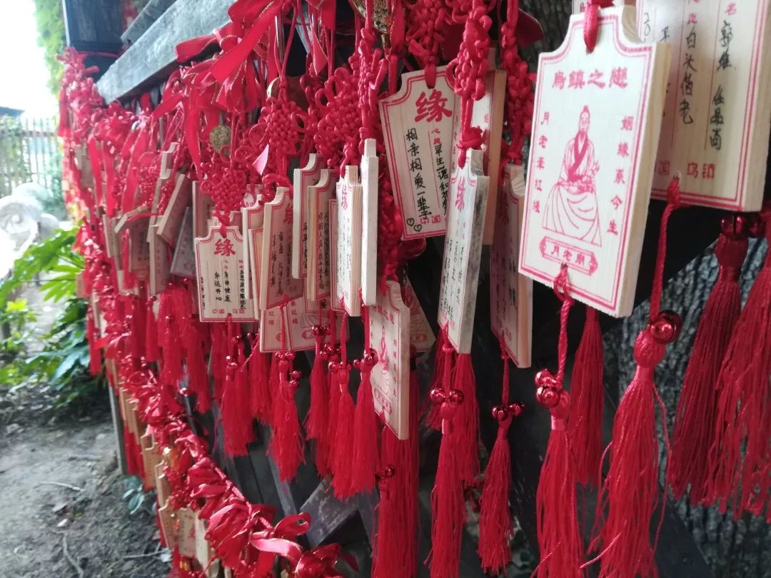 乌镇旅游住宿类型_乌镇旅游攻略住宿推荐_乌镇里住宿多少钱