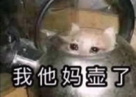 电视购物视频直播_时尚购物电视购物在线直播_时尚电视购物直播节目