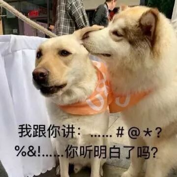 时尚购物电视购物在线直播_电视购物视频直播_时尚电视购物直播节目