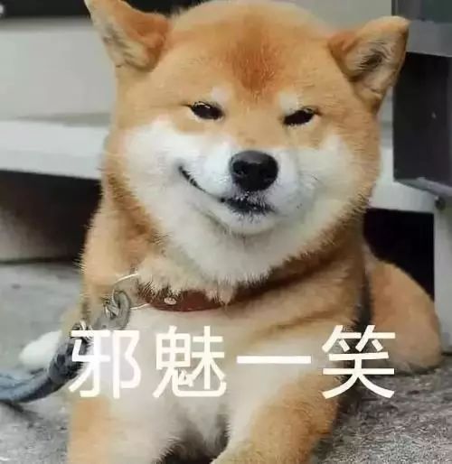 时尚购物电视购物在线直播_时尚电视购物直播节目_电视购物视频直播