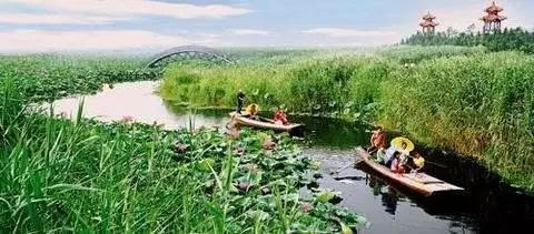 白洋淀荷花大观园有多少种荷花_白洋淀荷花大观园旅游攻略_白洋淀菏花大观园