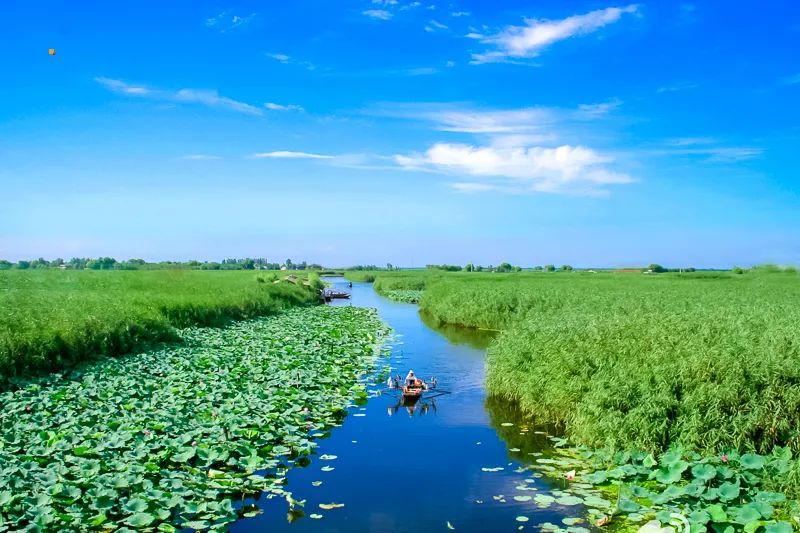 河北白洋淀荷花大观园有限公司_白洋淀荷花大观园旅游攻略_白洋淀荷花大观园民俗寨宾馆