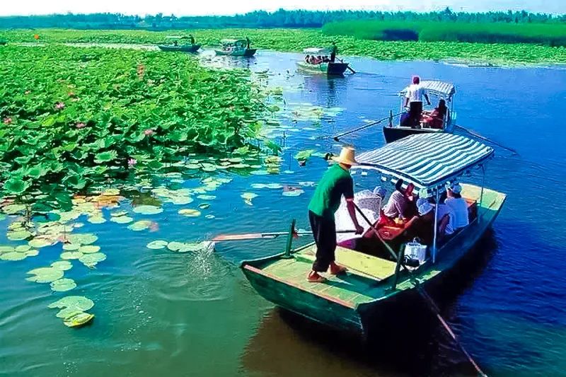 白洋淀荷花大观园旅游攻略_河北白洋淀荷花大观园有限公司_白洋淀荷花大观园民俗寨宾馆