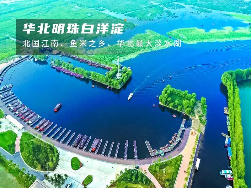 白洋淀荷花大观园民俗寨宾馆_白洋淀荷花大观园旅游攻略_河北白洋淀荷花大观园有限公司