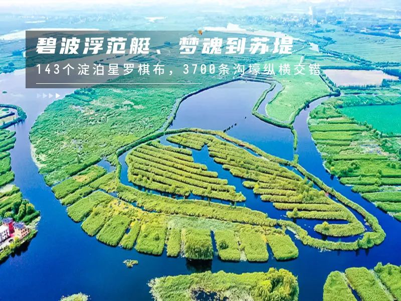 白洋淀荷花大观园旅游攻略_河北白洋淀荷花大观园有限公司_白洋淀荷花大观园民俗寨宾馆