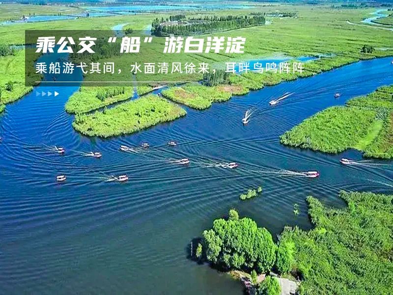白洋淀荷花大观园民俗寨宾馆_白洋淀荷花大观园旅游攻略_河北白洋淀荷花大观园有限公司