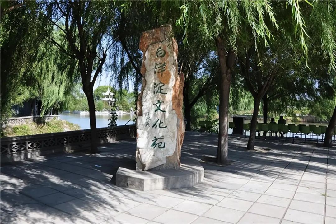 河北白洋淀荷花大观园有限公司_白洋淀菏花大观园_白洋淀荷花大观园旅游攻略