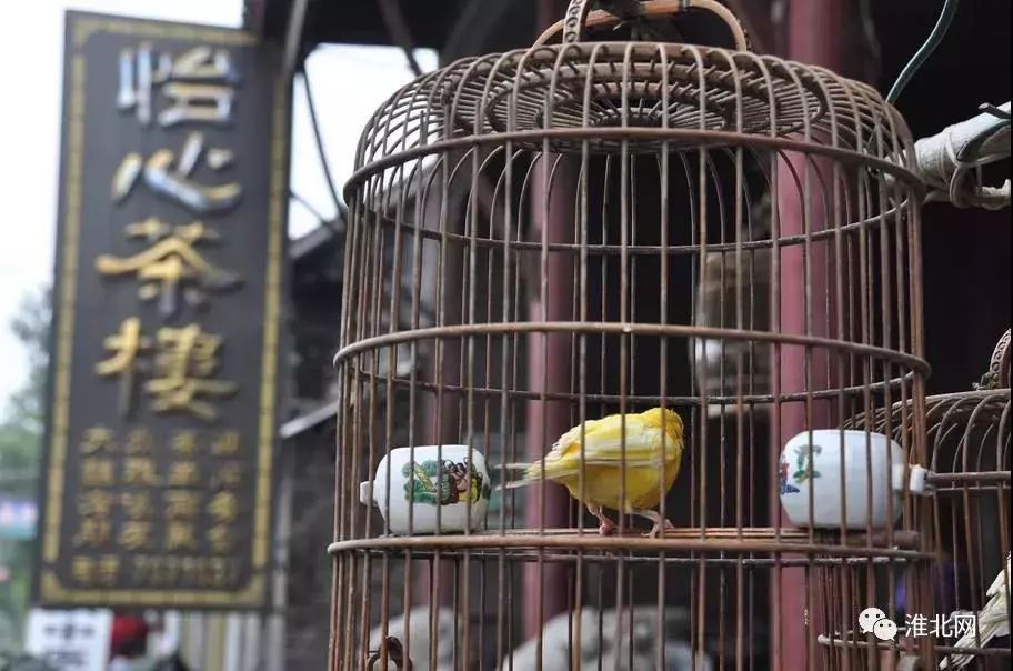 皖西大裂谷现场门票多少钱_皖西大裂谷旅游攻略_皖西大裂谷游玩时长