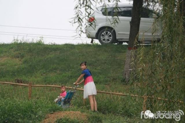 白洋淀荷花大观园旅游攻略_白洋淀荷花大观园民俗寨宾馆_白洋淀菏花大观园