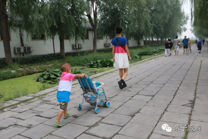 白洋淀荷花大观园民俗寨宾馆_白洋淀荷花大观园旅游攻略_白洋淀菏花大观园