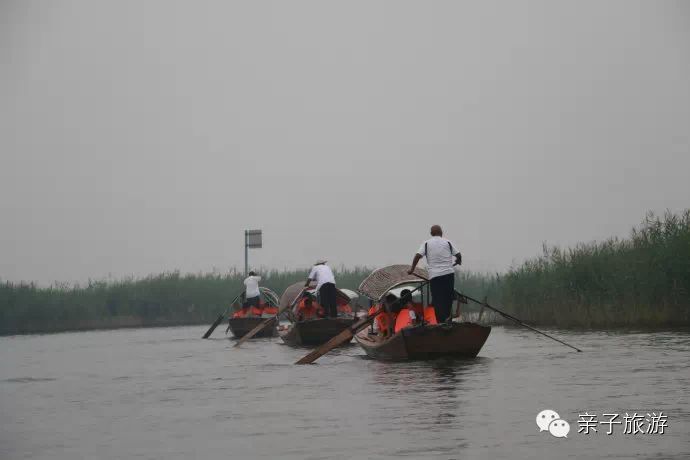 白洋淀荷花大观园旅游攻略_白洋淀荷花大观园民俗寨宾馆_白洋淀菏花大观园