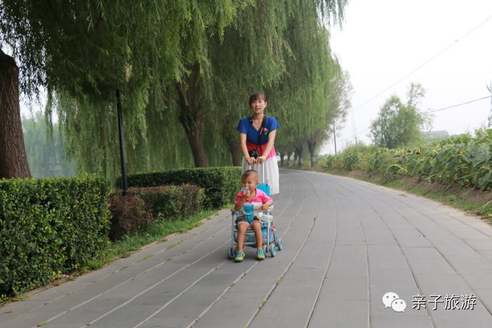 白洋淀荷花大观园民俗寨宾馆_白洋淀荷花大观园旅游攻略_白洋淀菏花大观园