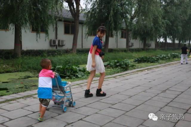 白洋淀荷花大观园旅游攻略_白洋淀菏花大观园_白洋淀荷花大观园民俗寨宾馆