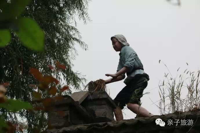 白洋淀荷花大观园旅游攻略_白洋淀荷花大观园民俗寨宾馆_白洋淀菏花大观园