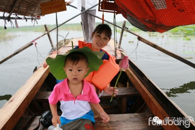 白洋淀菏花大观园_白洋淀荷花大观园旅游攻略_白洋淀荷花大观园民俗寨宾馆