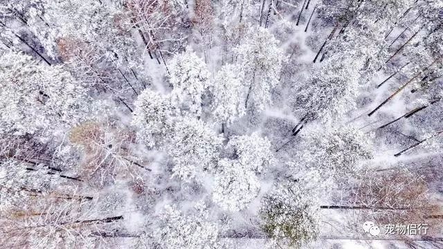哈尔滨——漠河_哈尔滨漠河旅游攻略_哈尔滨报团去漠河三日游