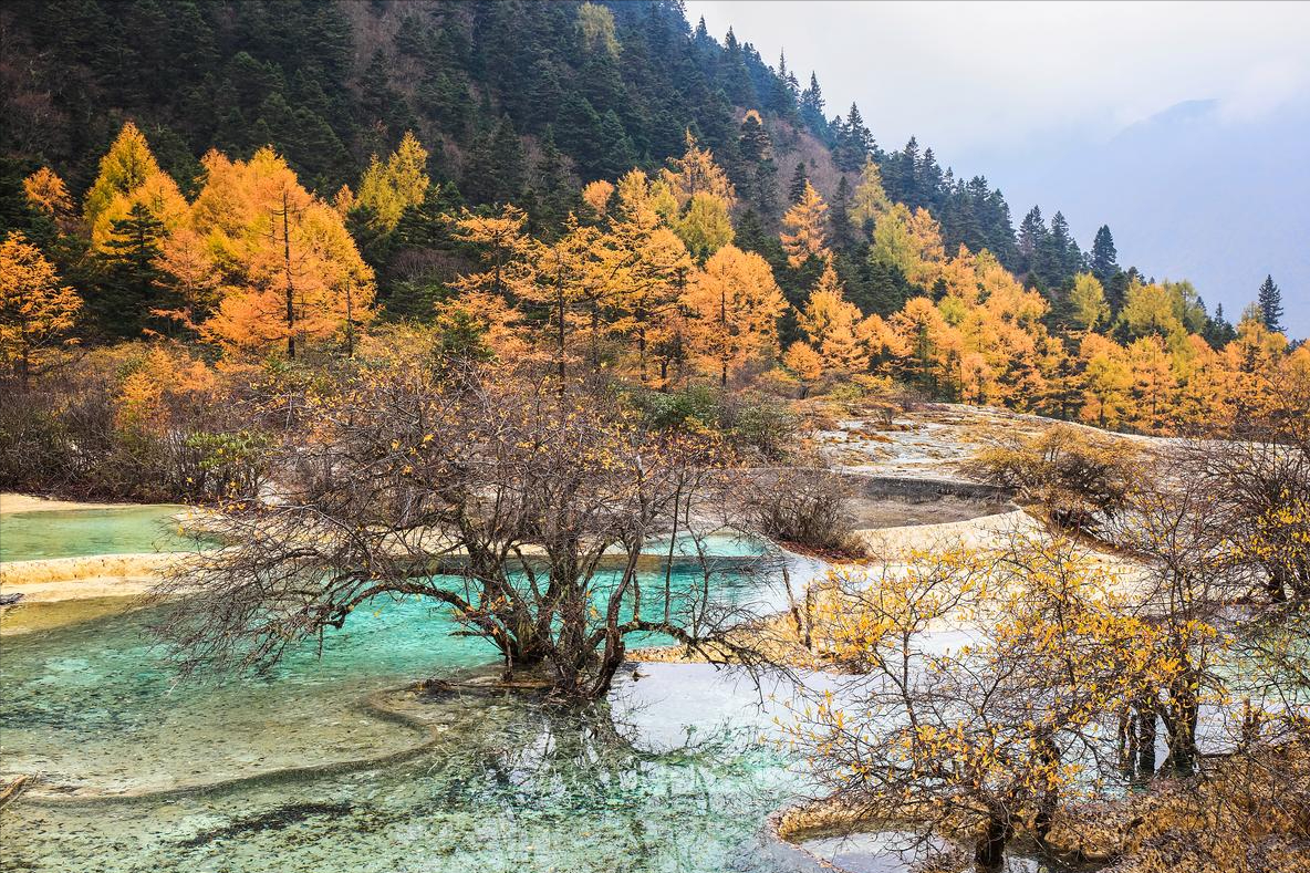 九寨沟攻略旅游攻略_九寨沟攻略旅游攻略一日游_九寨沟2日旅游攻略