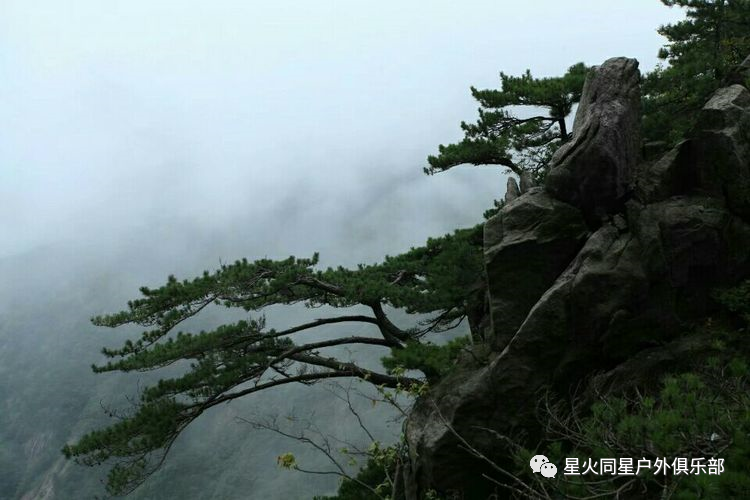 山大有什么好玩的地方_大别山2日旅游攻略_山东大学旅游景点