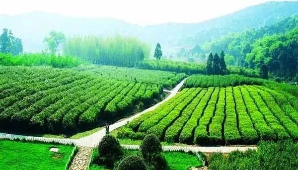 无锡马山旅游攻略_无锡马山景点介绍_无锡马山游玩攻略