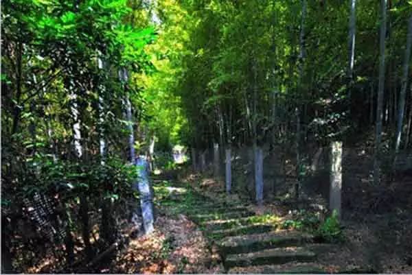 无锡马山旅游攻略_无锡马山游玩攻略_无锡马山景点介绍