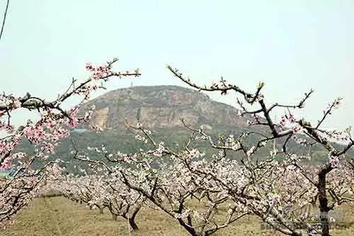无锡马山游玩攻略_无锡马山旅游攻略_无锡马山景点介绍