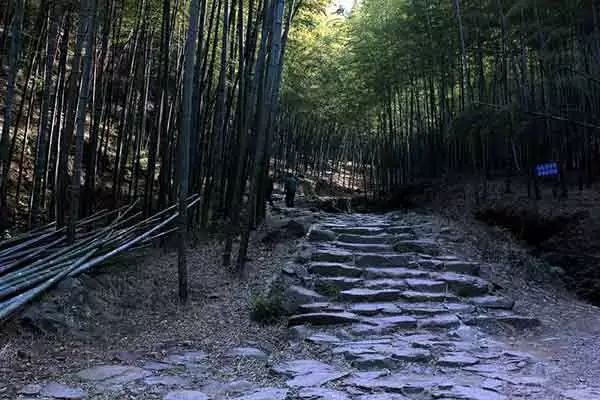 无锡马山旅游攻略_无锡马山景点介绍_无锡马山游玩攻略
