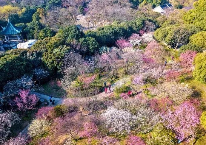 无锡马山游玩攻略_无锡马山景点介绍_无锡马山旅游攻略