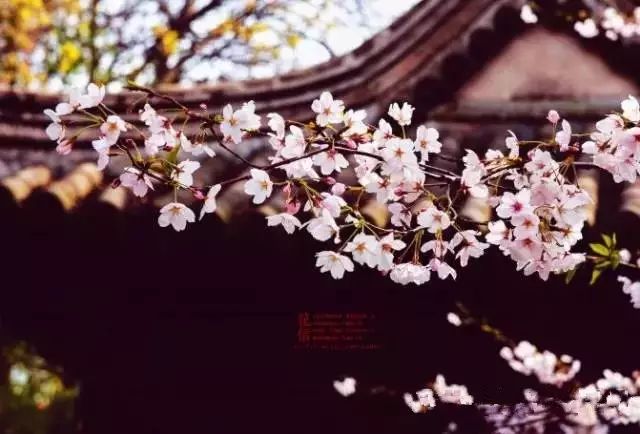 无锡马山景点介绍_无锡马山游玩攻略_无锡马山旅游攻略