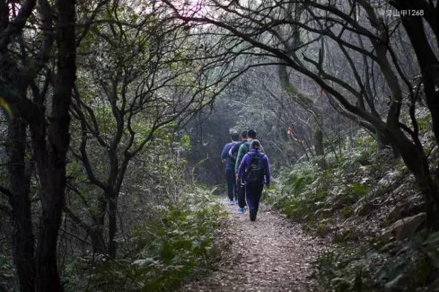 无锡马山旅游攻略_无锡马山游玩攻略_无锡马山景点介绍