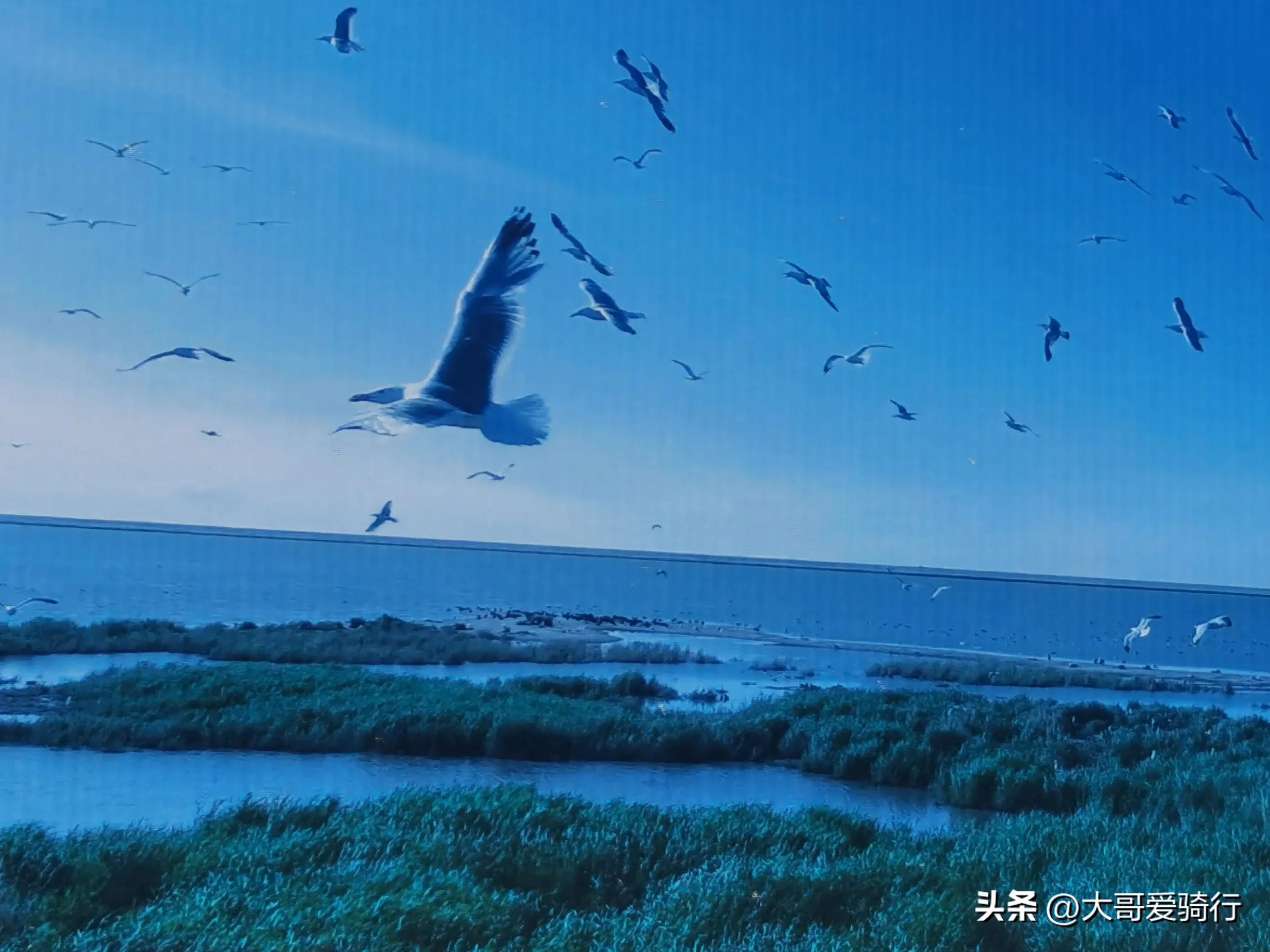 东北三省旅游攻略-东北三省的旅游攻略(图32) 东北三省旅游攻略_东北三省的旅游攻略_东北三省的旅游路线策划