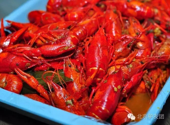 止锚湾度假村_止锚湾旅游景点_辽宁止锚湾旅游攻略