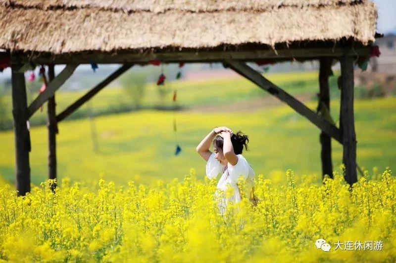 春季大连攻略旅游景点推荐_大连春季旅游攻略_春季大连攻略旅游路线