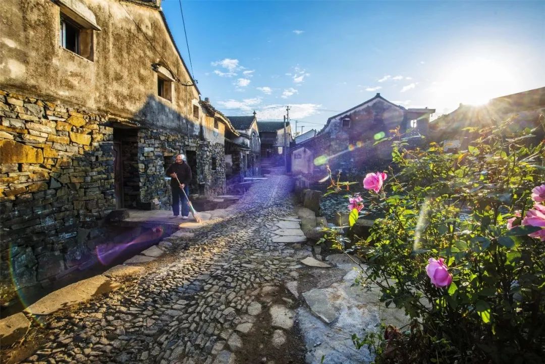 浙江天目山景区门票价格_浙江天目山旅游攻略_浙江省天目山景区