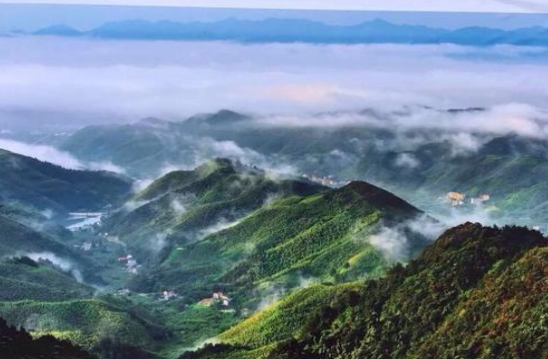 浙江天目山旅游攻略_浙江天目山景区门票价格_浙江省天目山景区