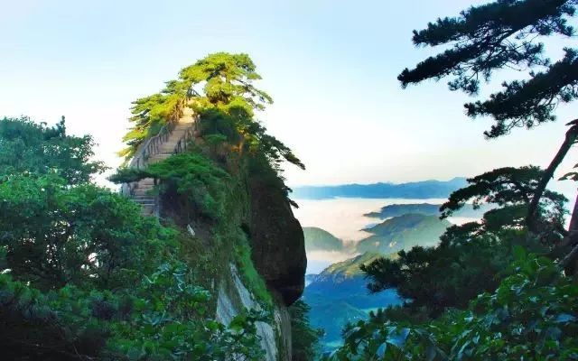 攻略浙江旅游天目山路线_浙江天目山属于什么山脉_浙江天目山旅游攻略