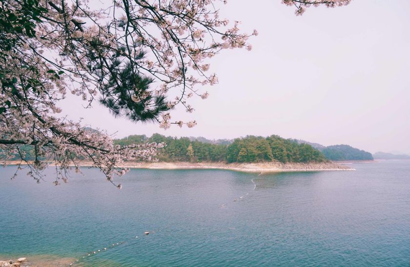 浙江天目山属于什么山脉_攻略浙江旅游天目山路线_浙江天目山旅游攻略
