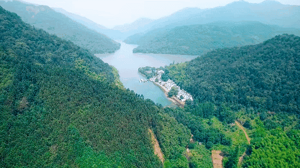 浙江天目山旅游攻略_浙江天目山属于什么山脉_攻略浙江旅游天目山路线