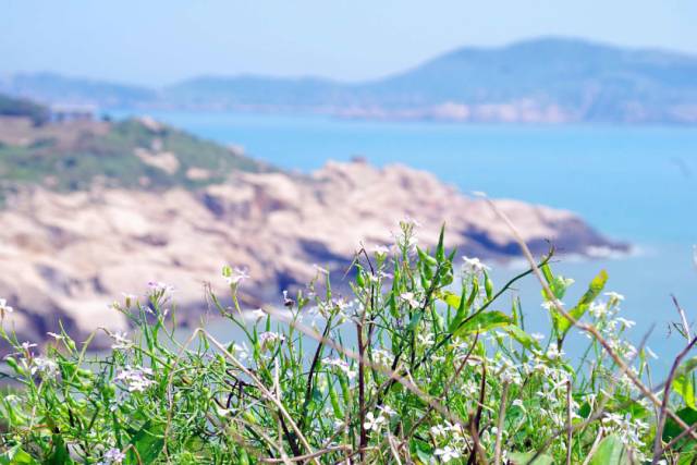 浙江天目山属于什么山脉_攻略浙江旅游天目山路线_浙江天目山旅游攻略