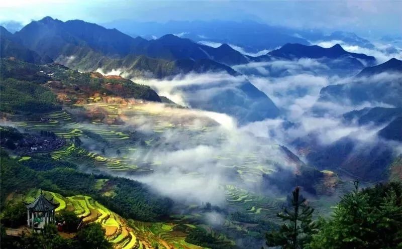 浙江天目山属于什么山脉_攻略浙江旅游天目山路线_浙江天目山旅游攻略