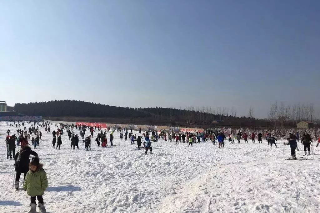攻略浙江旅游天目山路线_浙江天目山旅游攻略_浙江天目山属于什么山脉