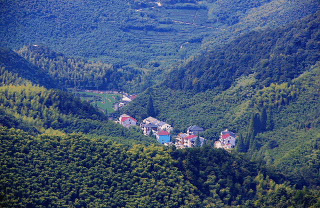 浙江天目山属于什么山脉_攻略浙江旅游天目山路线_浙江天目山旅游攻略