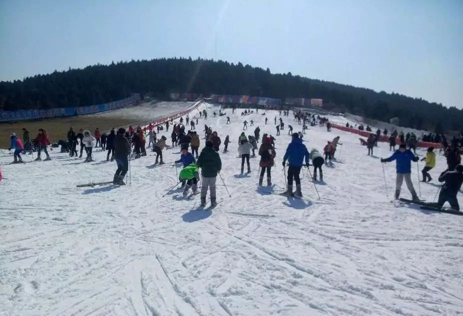 攻略浙江旅游天目山路线_浙江天目山旅游攻略_浙江天目山属于什么山脉