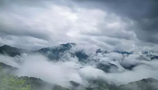 浙江天目山属于什么山脉_攻略浙江旅游天目山路线_浙江天目山旅游攻略